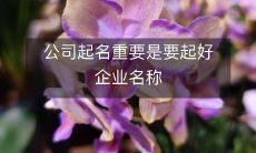 ——关于选择一个好的企业名称，对公司的重要性及影响的探讨