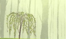 属鼠人心中永难开解的遗憾是什么?