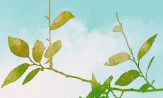 如何使用正确的查询方法来检索并查找自己的财务收支记录，从而精准命中个人财库？