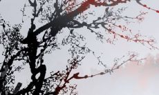 如何在生活中改善自己的财运——实用技巧与方法分享