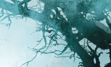 经过试验验证的有效招财方法——如何通过改运气提高财运