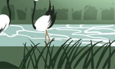 属牛和属龙的星座匹配：探索情感共鸣的终极配对之道