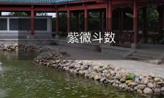 ——古代中国的占星学和预测艺术：探索星宿、宫位和天干地支的神秘世界