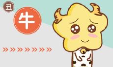 深度剖析属牛和属鼠心理特征，探究其完美情感配对的原因与实践经验