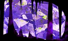 如果婆媳的八字都属虎，那么它们是否相合呢？“虎虎不相克”或是有其它解释？