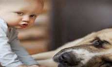 肖姓2023年出生的兔宝宝起名推荐——属兔宝宝起名精选指南