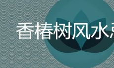院子种植香椿树的风水影响与忌讳事项有哪些需要注意?