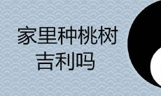 在家中种植桃树是否招财纳福?如何请树神妥善砍伐或迁移家中桃树?