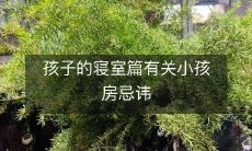 小孩房内常见的忌讳与注意事项,全面解析孩子寝室的规划、布局、装饰,提供专业的指导和建议