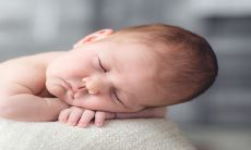 熊姓小宝宝2023年取名精选:从“熊猫宝宝”到“熊耳朵”——姓熊的新生儿名字创意大揭秘!