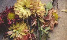 2020年,作为鼠年,究竟是一个怎样的年份?而又在哪些月份出生的属鼠会更加吉祥如意呢?