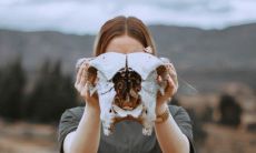 2020属鼠人的全年综合运势分析:详尽解读!