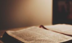 为什么属鼠的人不害怕本命年?2020年鼠年中的哪个月份运势不理想?