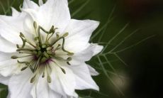 2020年属鼠的旺月是哪一个月?鼠宝宝的运势好不好?