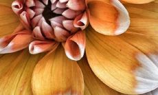 2020属鼠的人今年几岁?他们的本命年运势如何表现?