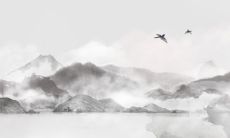 相奇特的女性面临事业瓶颈,缺乏下巴成为障碍!