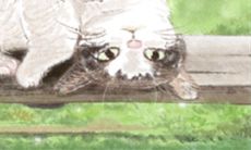 探索属猴之间的情感契合——属猴配对关系的终极探究