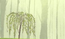 属虎心头最难以释怀的事,一直萦绕在内心深处无法摆脱