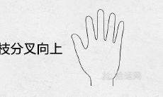 手相解析：将事业线比作向上分叉的树枝，揭示职业发展的命运趋势