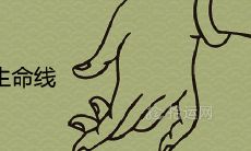 线条与人生的相关性：探究事业线、爱情线和生命线这三条线条的意义和联系