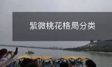 详解紫微桃花格局的不同类型及特征分析