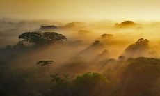 为什么车牌尾数中7倍受欢迎:详解大吉之选车牌尾号方法