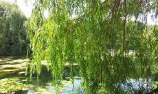 在风水中,窗户内开和窗户外开的区别对居住环境和运势有何影响?