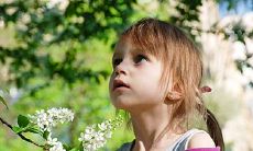 五行缺金的男孩女孩名字:探究2023年2月5日出生孩子姓名的秘密!