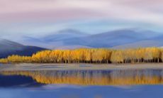 如何在选定车牌号中运用吉利数字 - 探究车牌号码选择的关键性事项