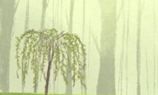 属狗人终生难忘心中恨，让他们无法释怀的事情