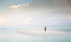 哪些生肖最有耐力,最能吃苦?探究三大最具草根精神的星座!