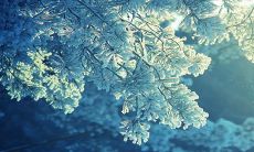 通过手机尾号判断富贵,尾号为6的人的财富状况如何?