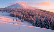 避免使用的最不吉利的车牌尾数及车牌号中的忌讳字母