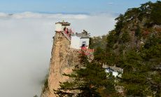 如果你的车牌尾号是5,而且没有人选相同的号码,那么关于选择哪个车位的问题,有哪些可供考虑的选项呢?