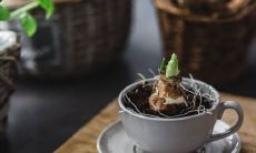 揭秘车牌号码最赚钱的5个数字组合:祥瑞财旺事业旺车号大揭秘