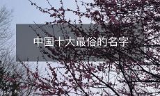 探索中国十大最普遍、最普遍、最流行的名字