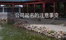 公司起名的注意事项:从品牌定位到文化符号,如何为您的公司选取一个恰当的名字?