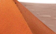 属狗的人在哪些领域具备最大发展潜力?