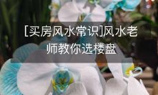 学习买房风水常识:经验丰富的风水老师指导您如何选择理想的楼盘