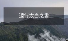 逃离难关——揭秘《太白之书》的深度逃亡策略