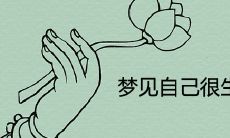 当你在梦中表现出极度愤怒和大声斥责别人时，这是否暗示着什么明示？——关于梦见自己生气大声斥责他人的预言