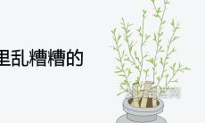 女性做梦发现房间里凌乱不堪的场景会有何种预示含义？