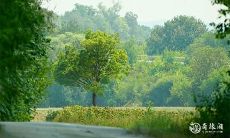 脚掌和手掌上有更多肉的人是不是拥有更多福气?