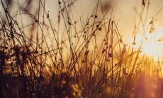 女孩头发中长着痣的命运图:痣在发中含义大揭秘!