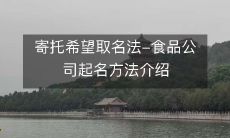 介绍寄托企业希望之命名法——食品公司命名的策略与技巧