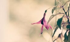 女性右侧腰部长有痣是否意味着优越家世？