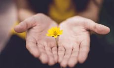 探寻男人生命线：手相指南了解健康运势，洞悉自我健康追求之路