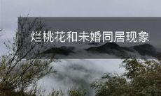 当代生活中的不幸恋爱和未婚同居现象：探讨烂桃花现象的根源和影响