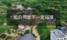 即使在紫禁城里同居,也不一定享有同样的福利待遇