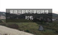 如何运用紫微斗数掌握最佳跳槽时机,提升职场竞争力?